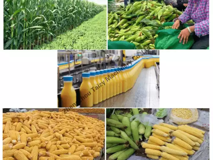 Application of fresh corn thresher