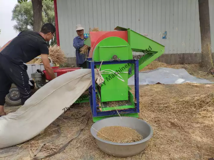 Machine à éplucher et à battre le maïs en fonctionnement