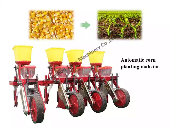 Corn sowing machine | Maize planter machine